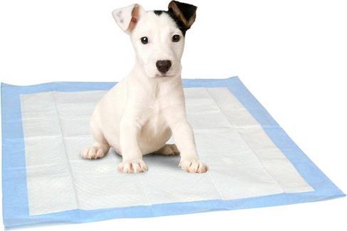 puppy training pads 7x 60 x 60 puppy pads