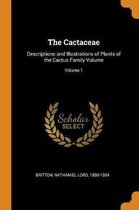 The Cactaceae