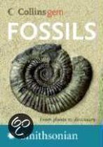 Fossils: From Plants To Dinosaurs
