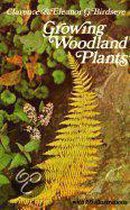 Growing Woodland Plants