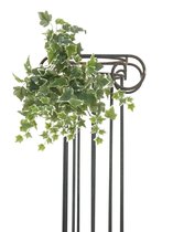 EUROPALMS hangplant kunstplanten voor binnen -  Holland ivy tendril, embossed - 45cm