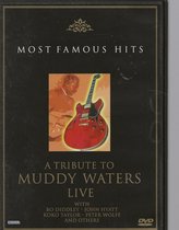 Muddy Waters Tribute: A Tribute To