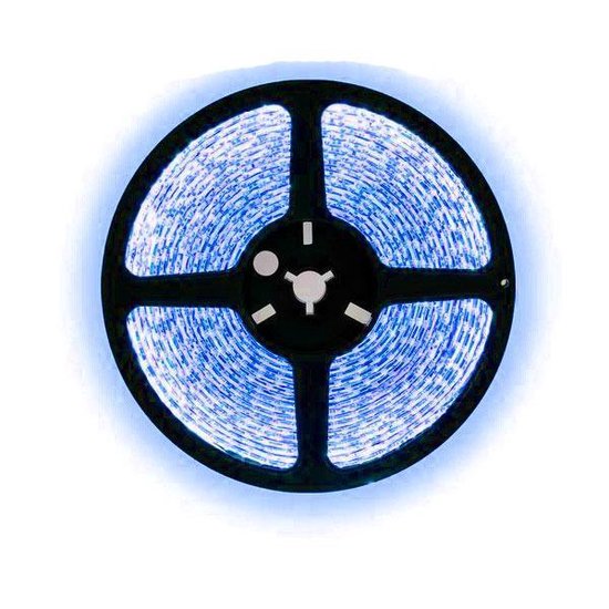 Ruban led bleu 1 mètre - 30Leds / m - 12V