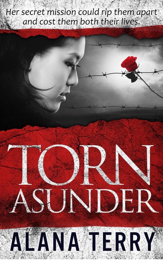 Torn Asunder - cover