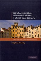 Capital Accumulation and Economic Growth in a Small Open Economy