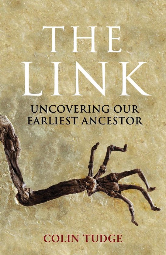 The Link - cover