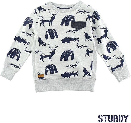Sturdy stoere grijs blauwe jongenssweater met dierenprint maat