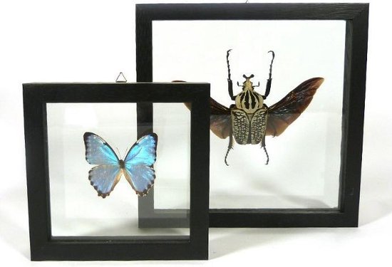 Zwart houten dubbelglas lijst 24 cm x 24 cm met ophanghaakje | bol.com
