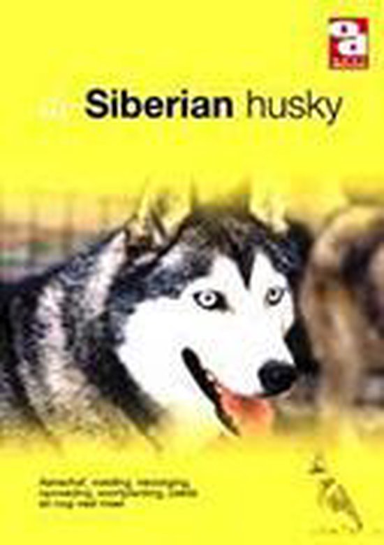 Siberian Husky