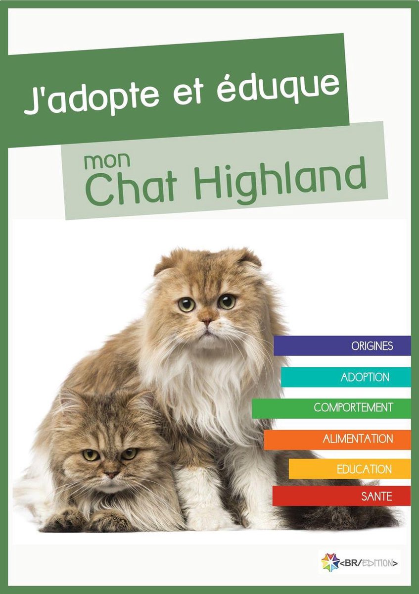 Entretien British Longhair et Highland Straight