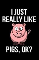 I Just Really Like Pigs, Ok?