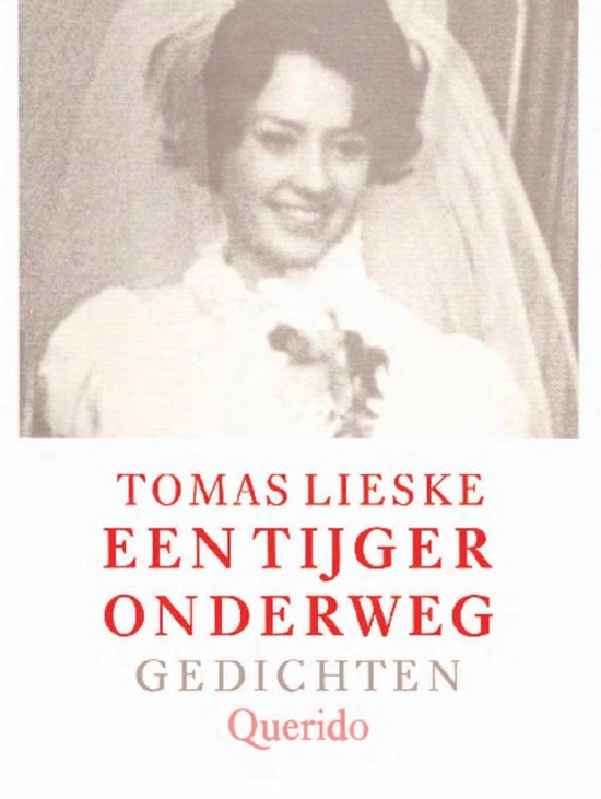 Een tijger onderweg - cover