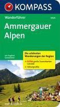 WF5424 Ammergauer Alpen Kompass