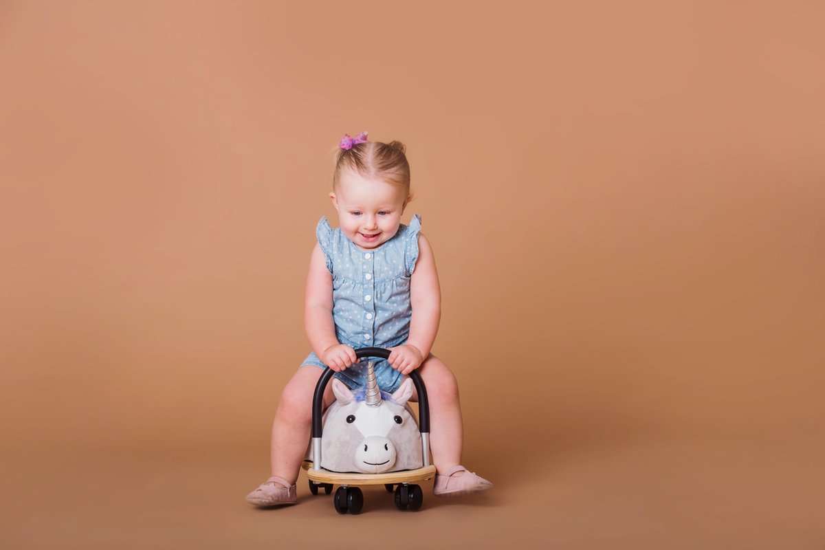 Wheely Bug Eenhoorn Loopauto