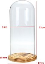 33x15cm Glas Dome Houten voet Cloche Bell Jar Display Stand Micro Landschap Gedroogde bloem DIY Vaas