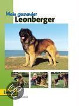 Mein gesunder Leonberger