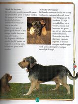Mijn eerste boek over honden
