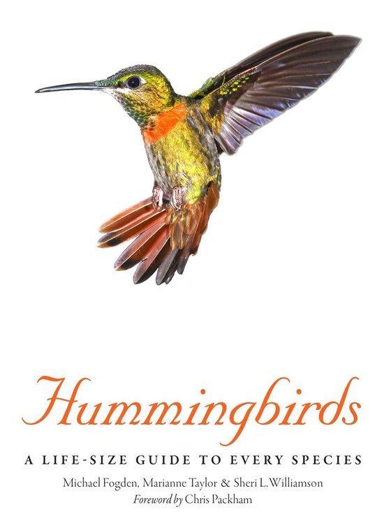 Hummingbirds - cover