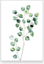 Textposters.com – Gunnii – botanisch poster - woonkamer - slaapkamer – muurdecoratie – 40x50 cm