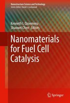 Omslag Nanomaterials for Fuel Cell Catalysis