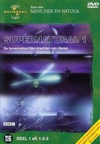 Supernatural 1-3 (D)