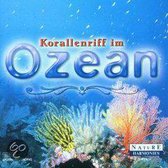 Korallenriff Im Ozean