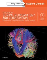 Samenvatting - Neurowetenschappen (1017GENGE3) - Universiteit Antwerpen