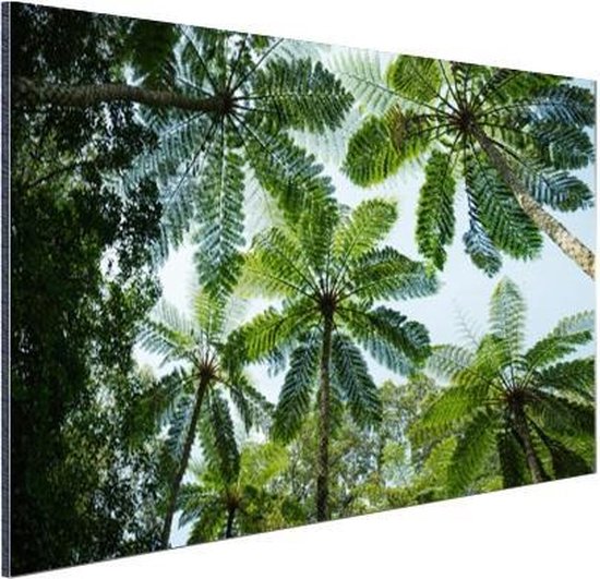Wanddecoratie Metaal - Aluminium Schilderij Industrieel - Bomen en bladeren in jungle - 60x40 cm - Dibond - Foto op aluminium - Industriële muurdecoratie - Voor de woonkamer/slaapkamer