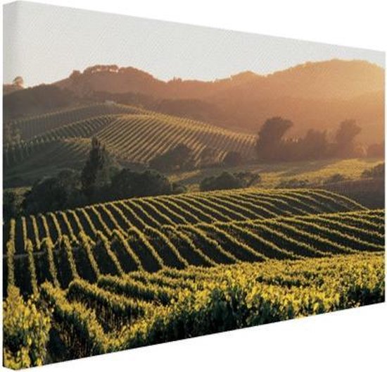 Vignobles aux Etats-Unis Toile 80x60 cm - Tirage photo sur toile (Décoration murale salon / chambre)