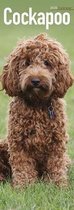 Cockapoo Slim Calendar