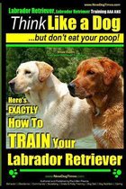 Labrador Retriever, Labrador Retriever Training AAA AKC: Think Like a Dog But Don't Eat Your Poop! - Breed Expert Training -
