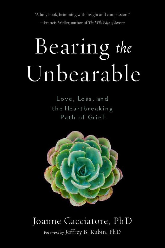 Bearing the Unbearable - cover