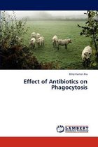 Effect of Antibiotics on Phagocytosis