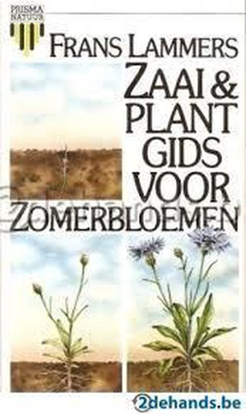 Zaai en plantgids voor zomerbloemen - cover