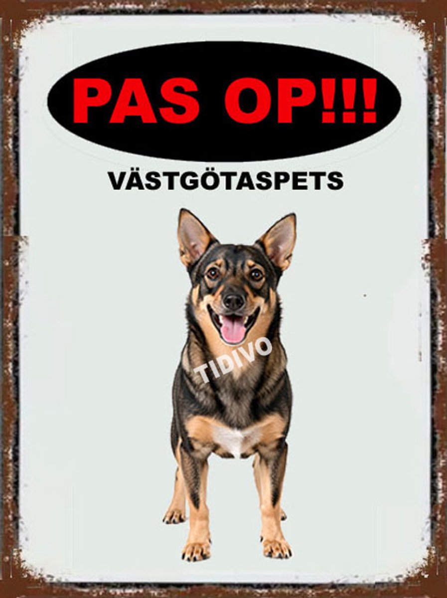 Västgötaspets 17