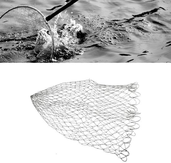 Vervangnet - landing net - handnet beschikbaar voor volwassenen - vissen - hengelsport van Waterside. — afbeelding 5