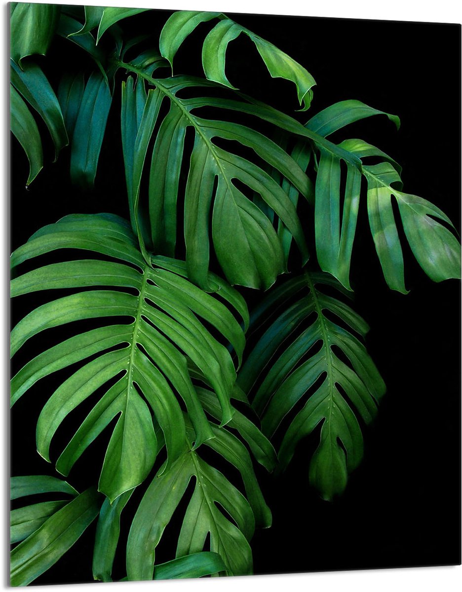 TMK ArtDeko - Snijplank - 40x52 - Monstera - Glas