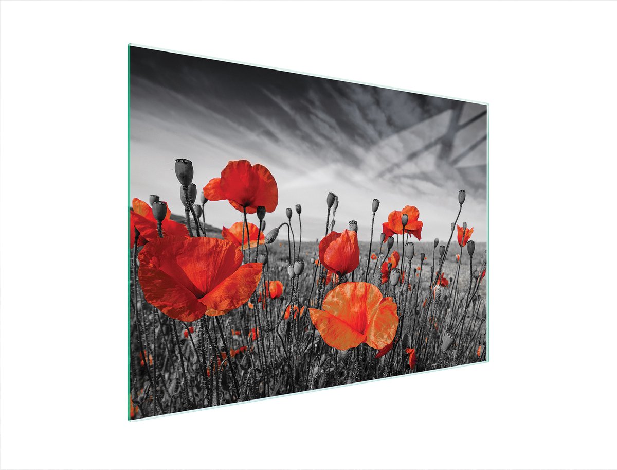 TMK ArtDeko Serie - Glazen Snijplank - 40x30 cm - Multifunctioneel - UV Print - Siliconen Noppen