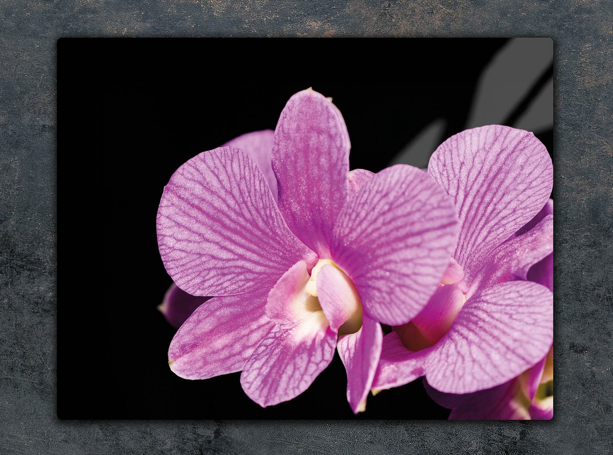 TMK ArtDeko - Snijplank - 52x40 cm - Gehard Glas - Orchidea