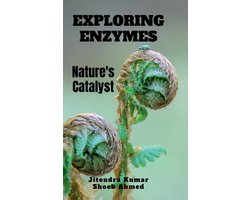 Exploring Enzymes