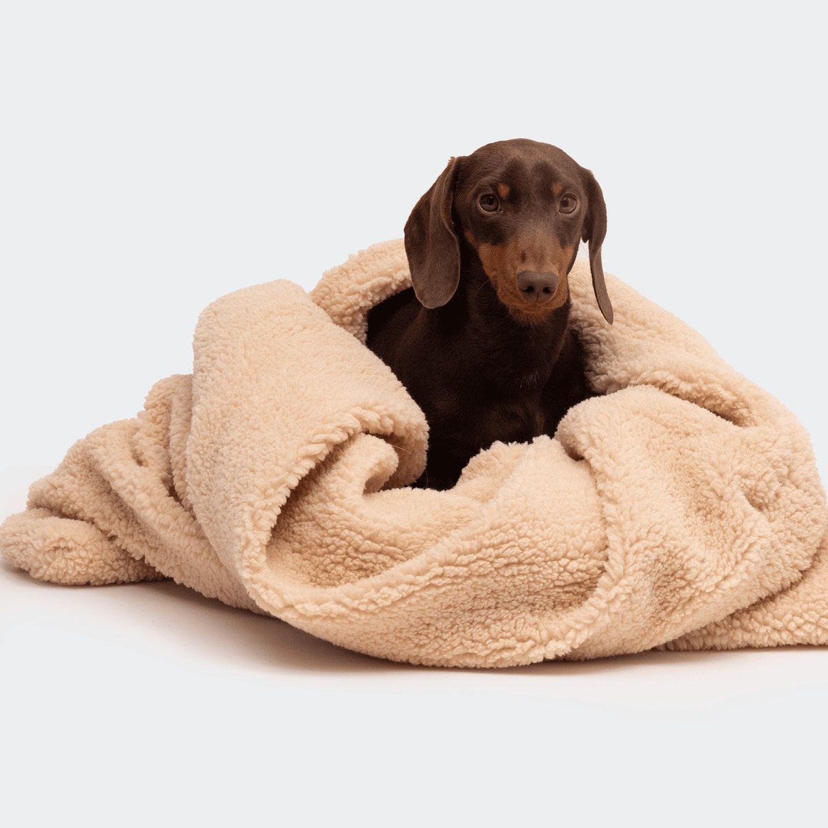 Teddy honden slaapzak cozy cave ecru