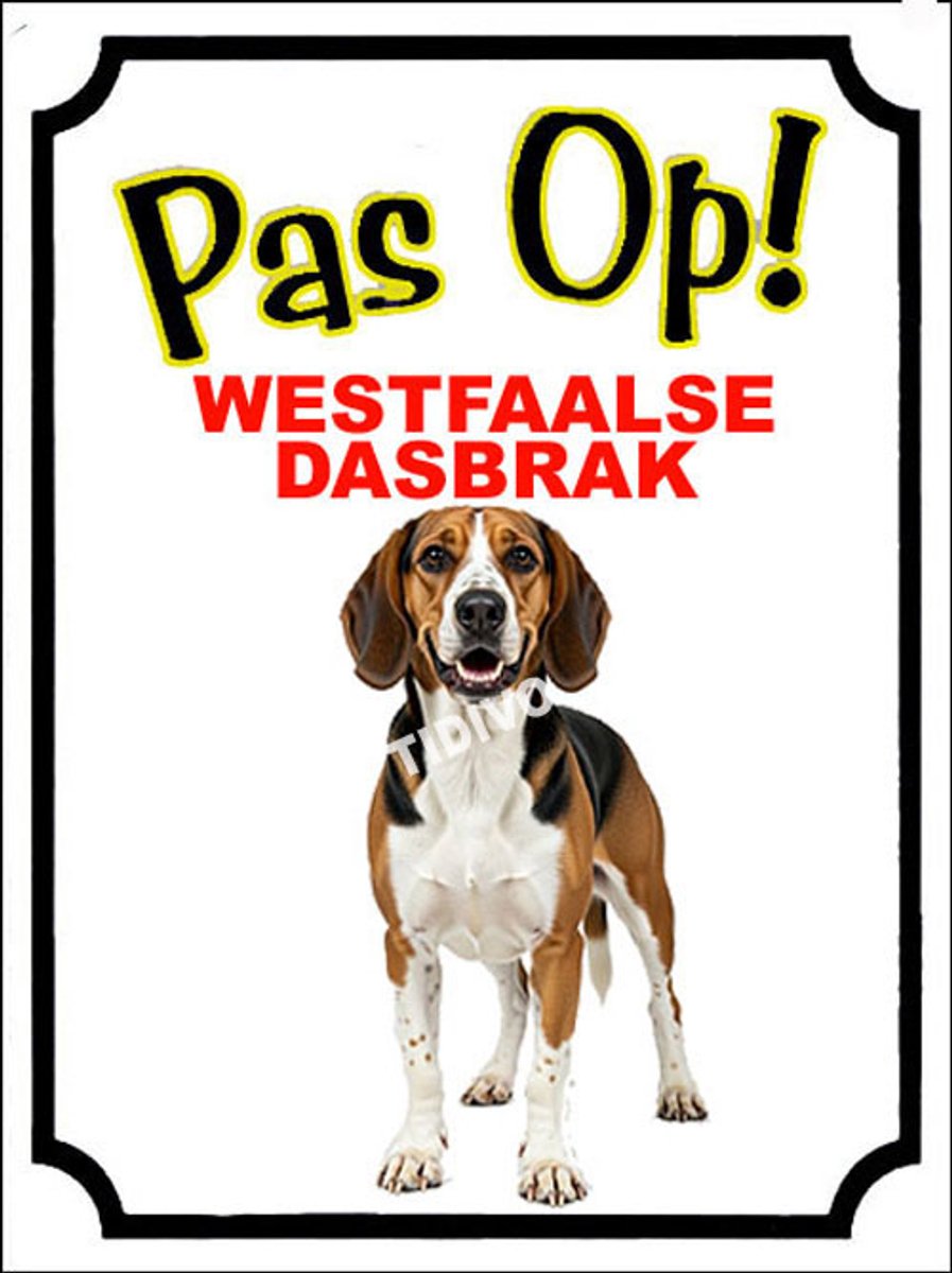 Westfaalse Dasbrak 16