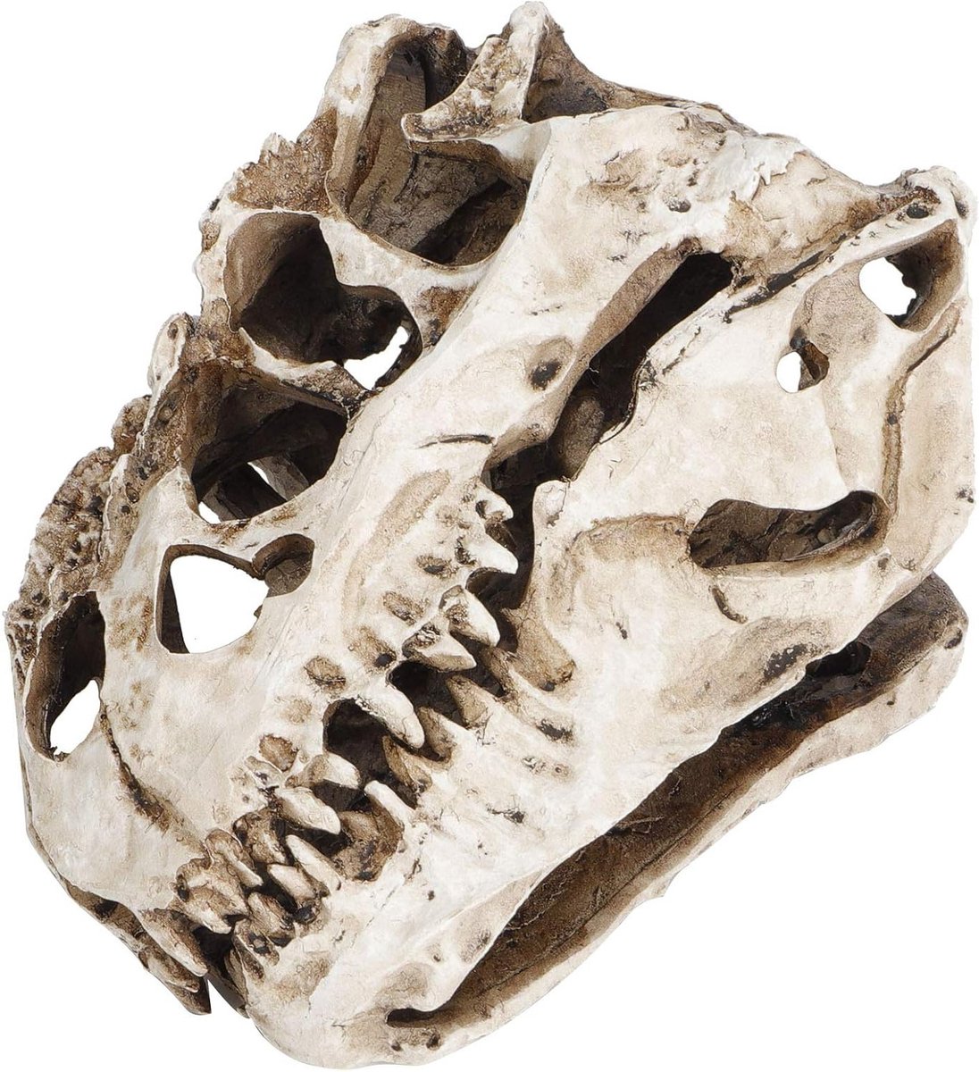 Unieke Dinosaurus Skull Ornament voor Halloween Decoratie, Perfecte Craft en Cadeau Ideeën, Gedetailleerd en Creatief Design