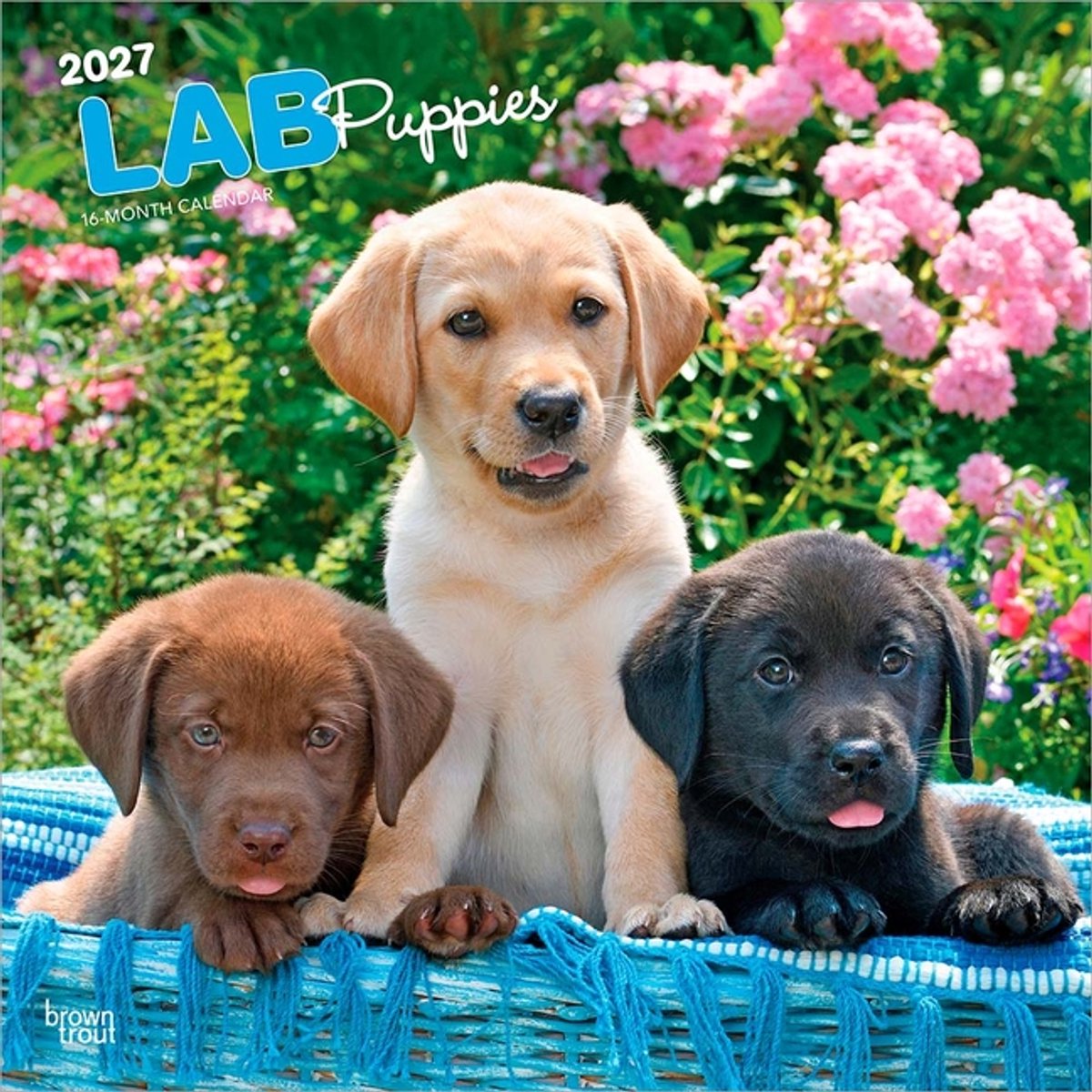 Labrador Retriever Puppies Kalender 2027