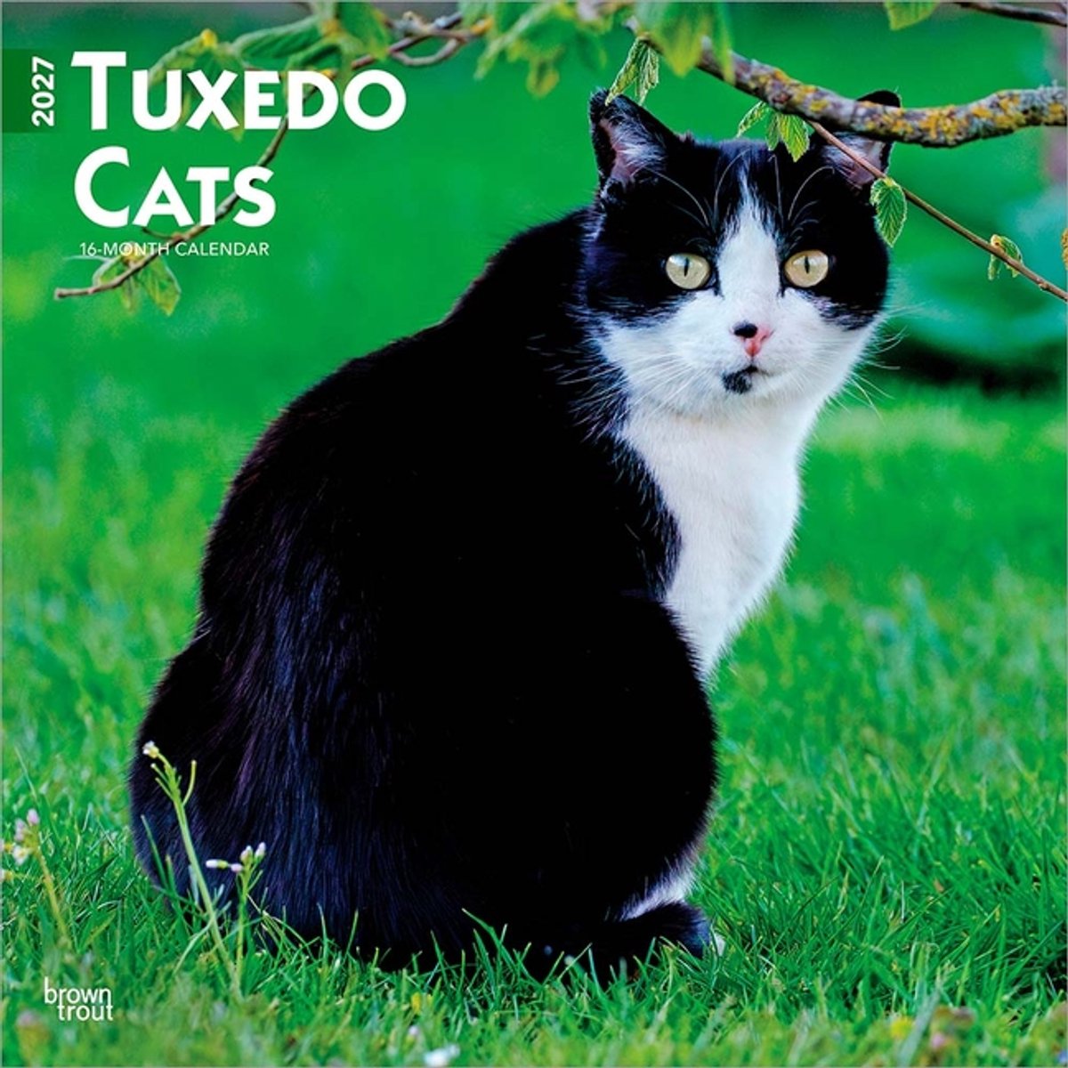Zwart Wit Katten Kalender 2027