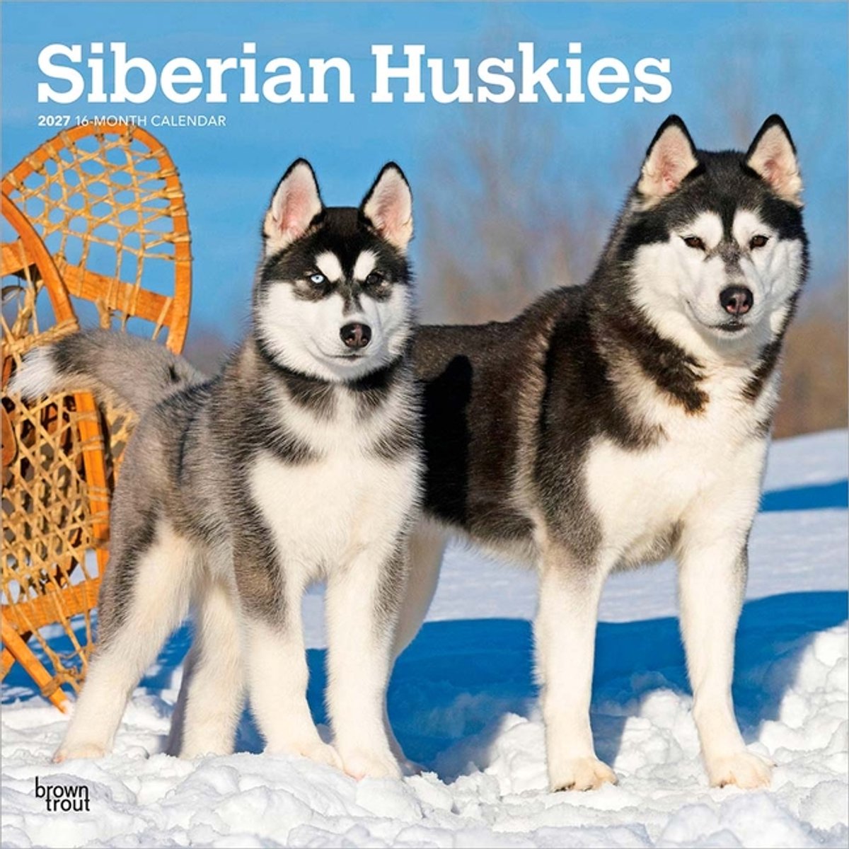 Siberian Husky Kalender 2027