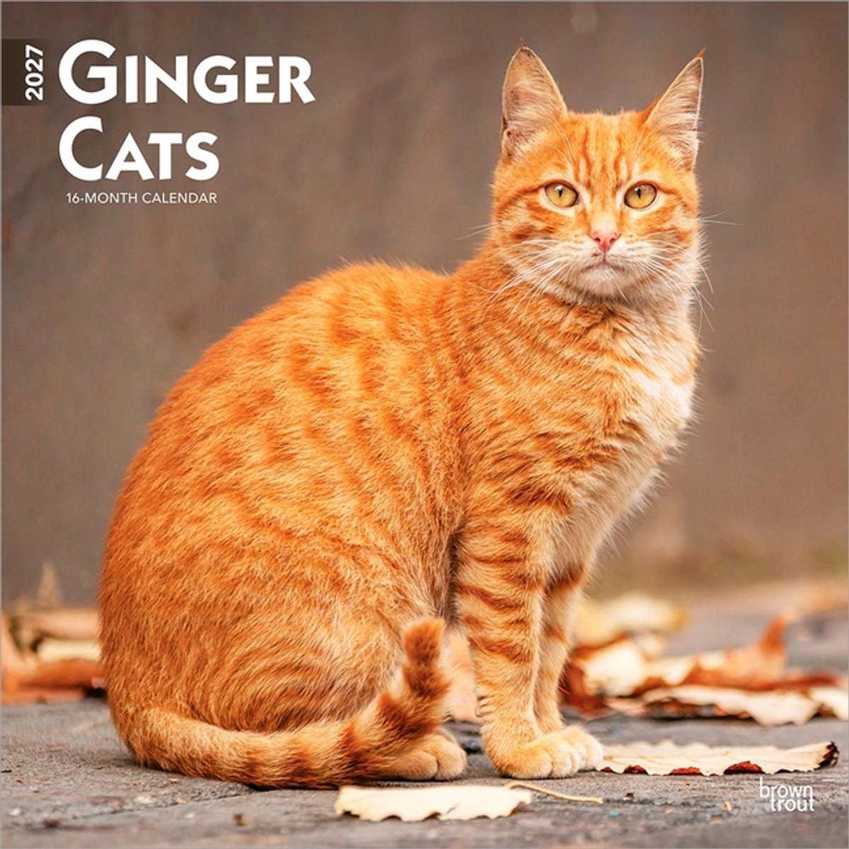Rode Katten Kalender 2027