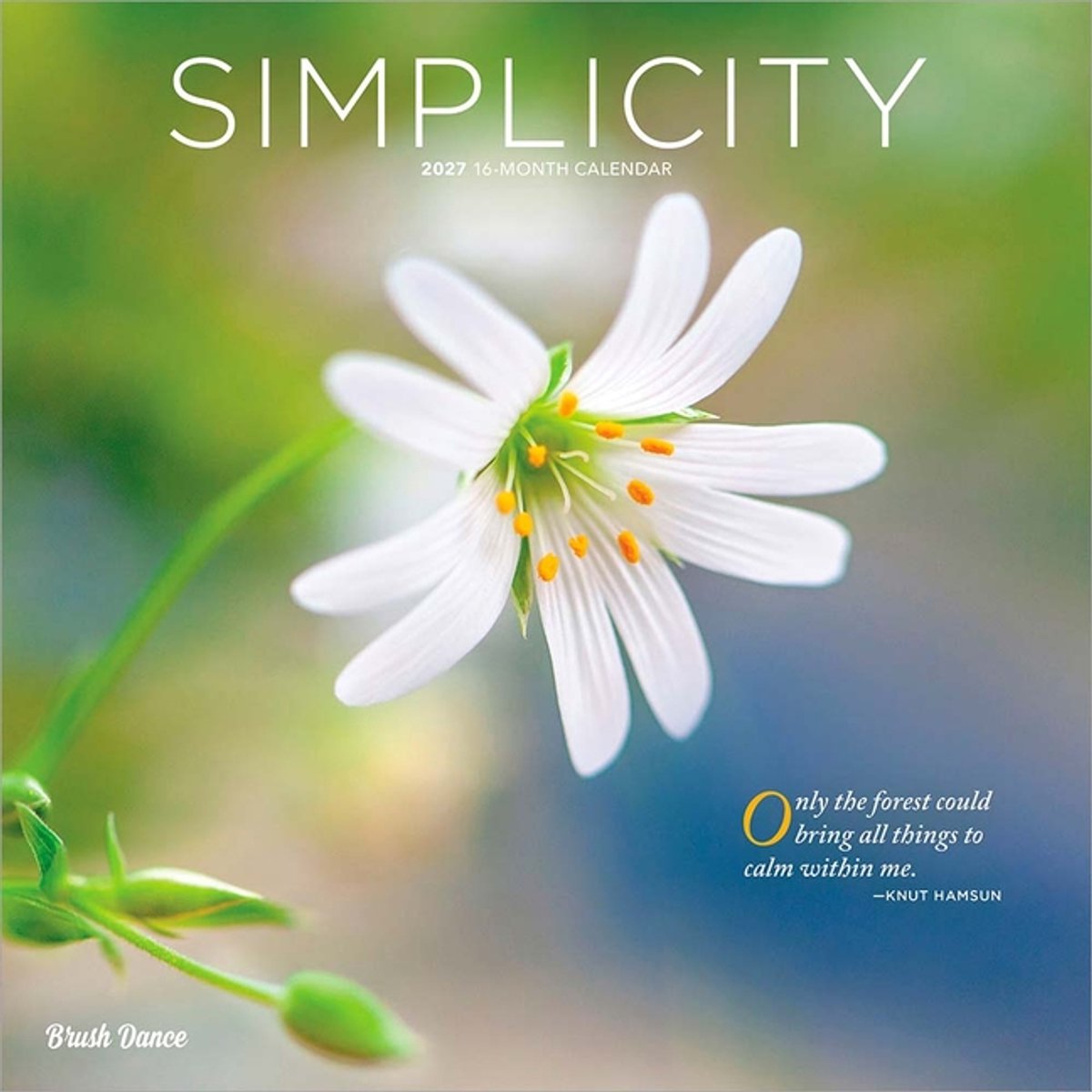 Simplicity Kalender 2027