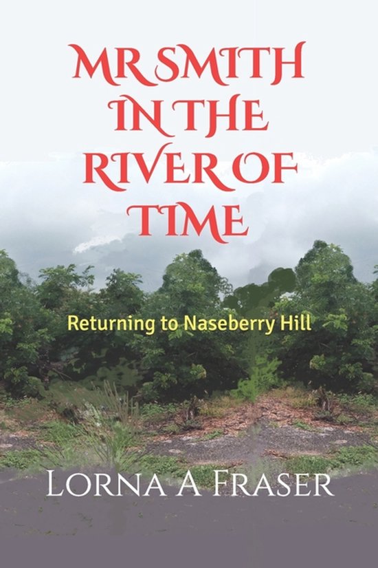 Kildare's Hills and the Rivers of Time- Mr Smith in the Rive ... - cover