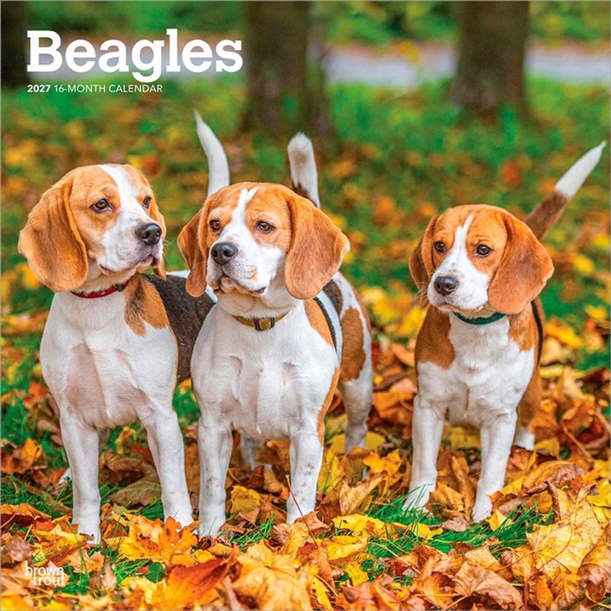 Beagle Kalender 2027